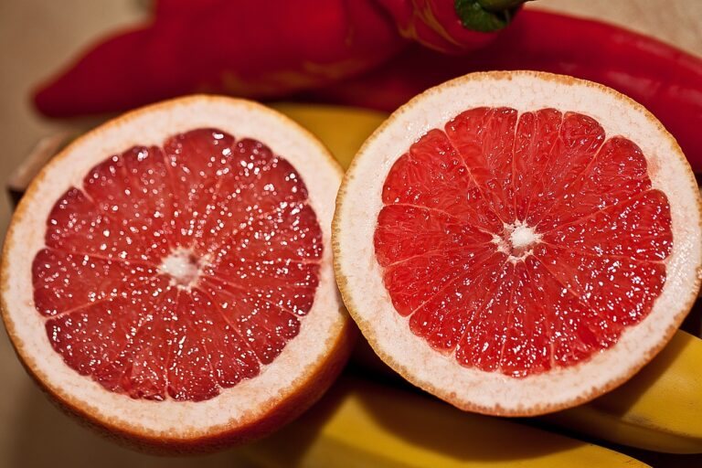 PROVEEDORES DE PULPA DE FRUTA EN ARGENTINA