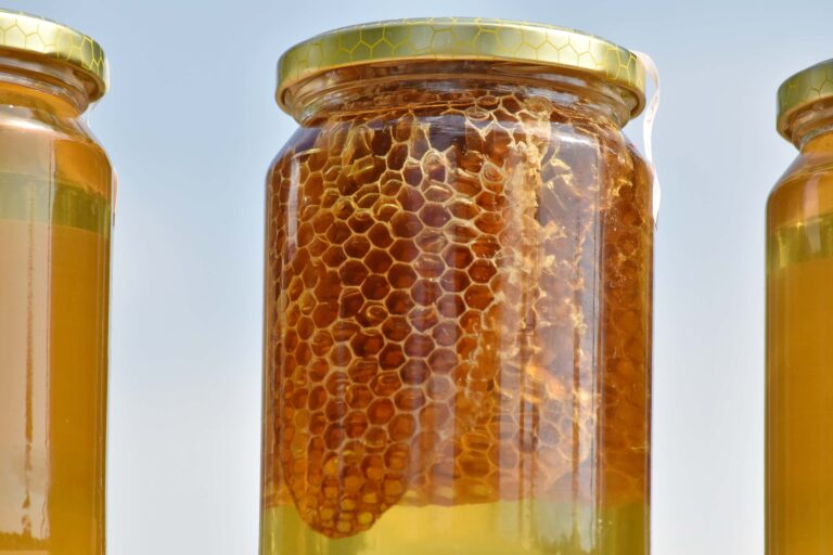 PROVEEDORES DE MIEL DE ABEJA EN MÉXICO