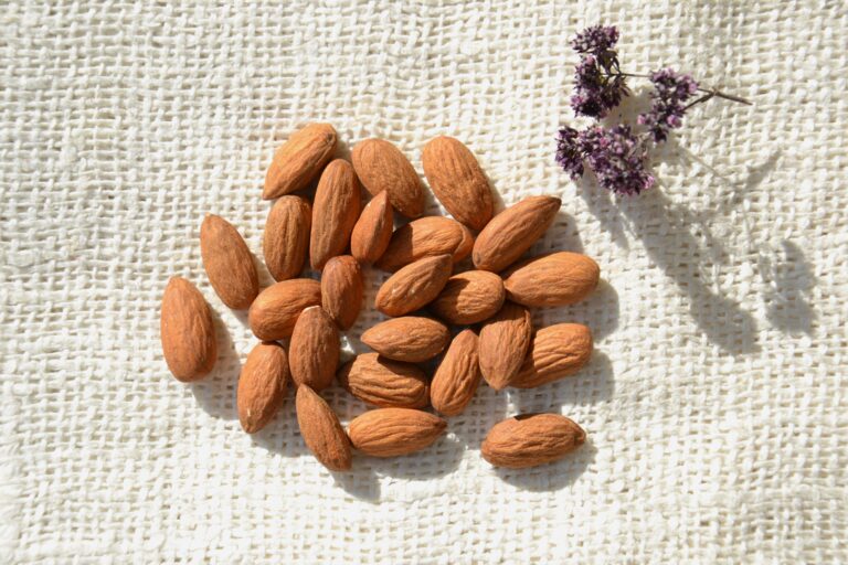 PROVEEDORES DE ACEITES DE PLANTAS MEDICINALES