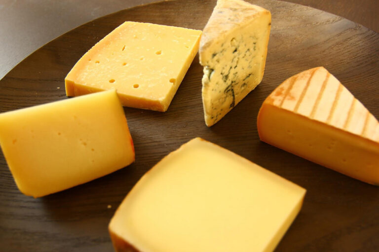 PROVEEDORES DE QUESO EN EL SALVADOR