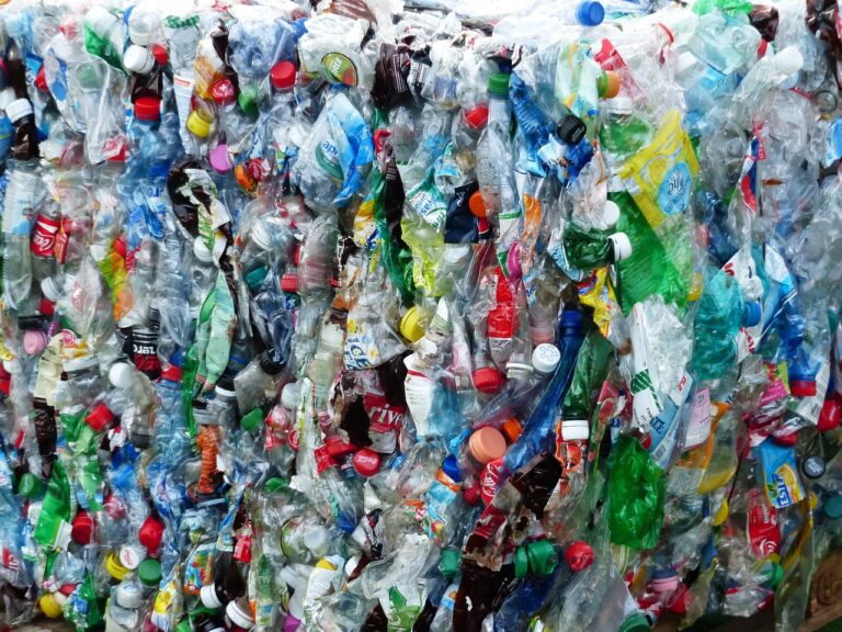 BOTELLA DE BOMBA DE ESPUMA DE PLÁSTICO PROVEEDORES
