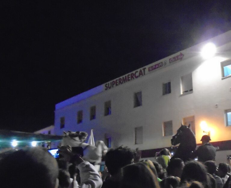 PROVEEDORES DE ARTICULOS PARA FIESTAS EN COLOMBIA