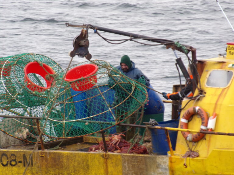 PROVEEDORES DE ARTICULOS DE PESCA EN MIAMI