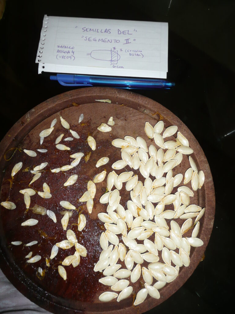 PROVEEDORES DE SEMILLAS Y CEREALES EN PUERTO VALLARTA
