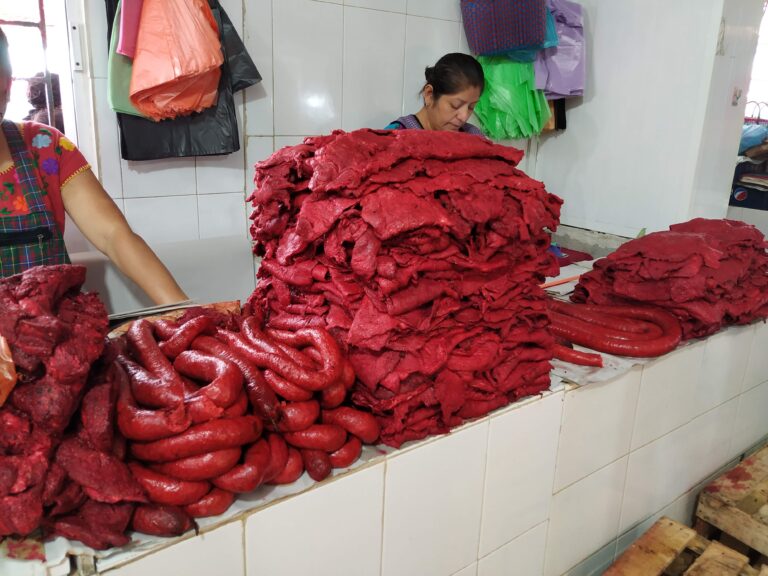 PROVEEDORES DE CARNE DE CERDO Y TERNERA
