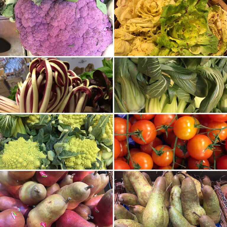LISTA DE PRECIOS DE PROVEEDORES DE FRUTAS Y VERDURAS