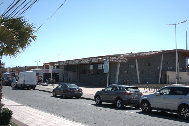 PROVEEDORES DE PESCADOS Y MARISCOS FRESCOS