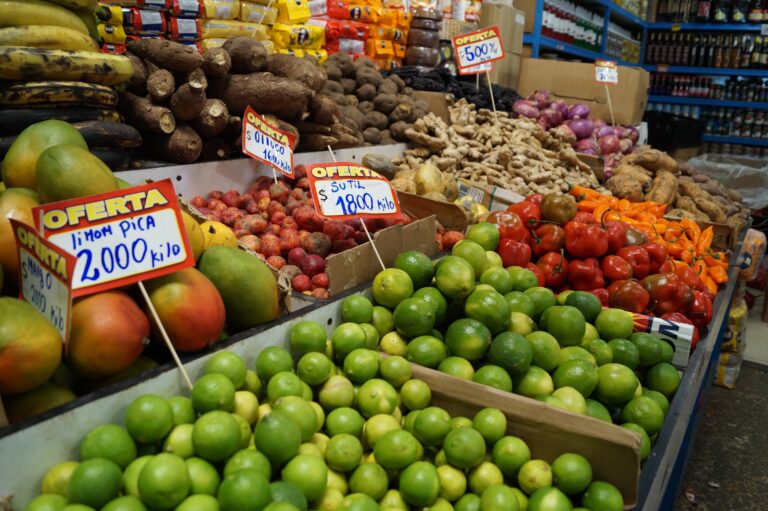 PROVEEDORES DE FRUTAS Y VERDURAS EN GUATEMALA