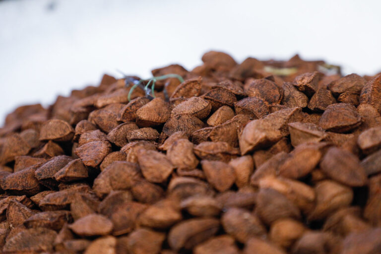 PROVEEDORES DE CACAO EN POLVO EN MEXICO