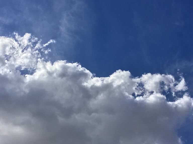 CUALES SON LOS PRINCIPALES PROVEEDORES DE LA NUBE