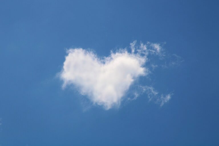 PROVEEDORES DE SERVICIOS DE LA NUBE