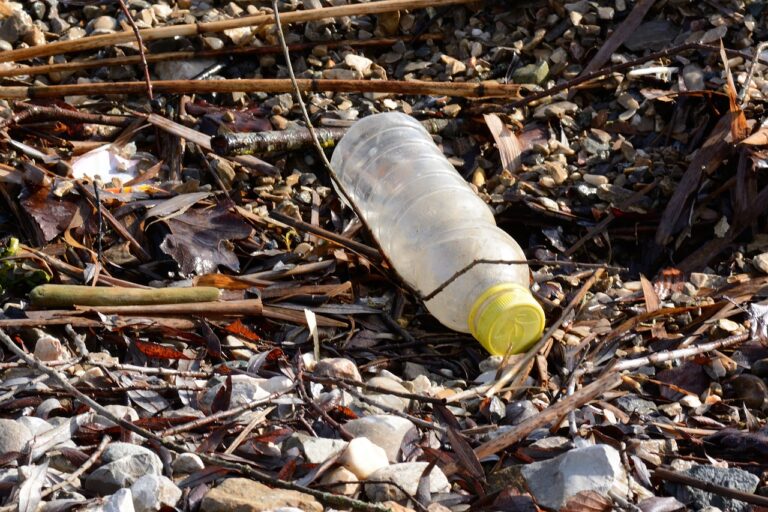 PROVEEDORES DE BOTELLAS DE PLASTICO PARA AGUA