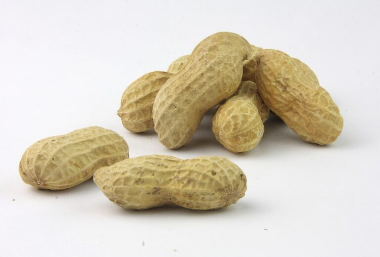 PROVEEDORES DE FRUTOS SECOS EN ARGENTINA