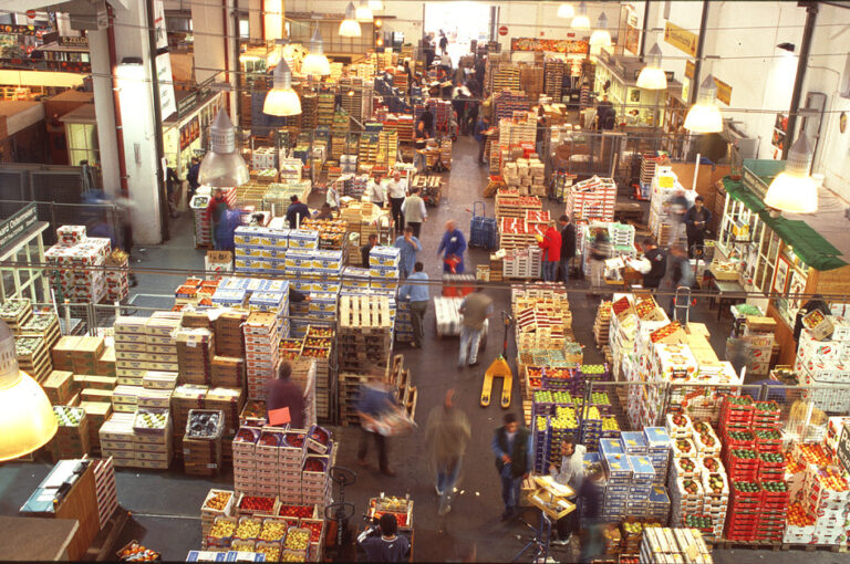PROVEEDORES DE TIENDAS AL POR MAYOR