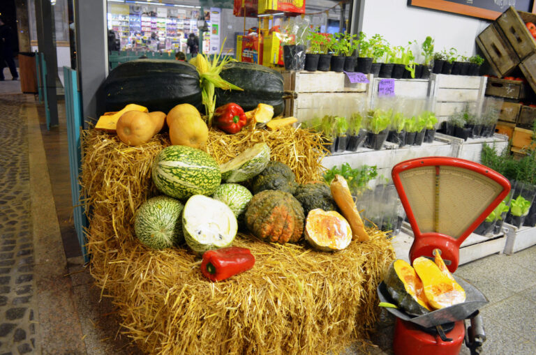 PROVEEDORES DE FRUTAS Y VERDURAS PRECIOS