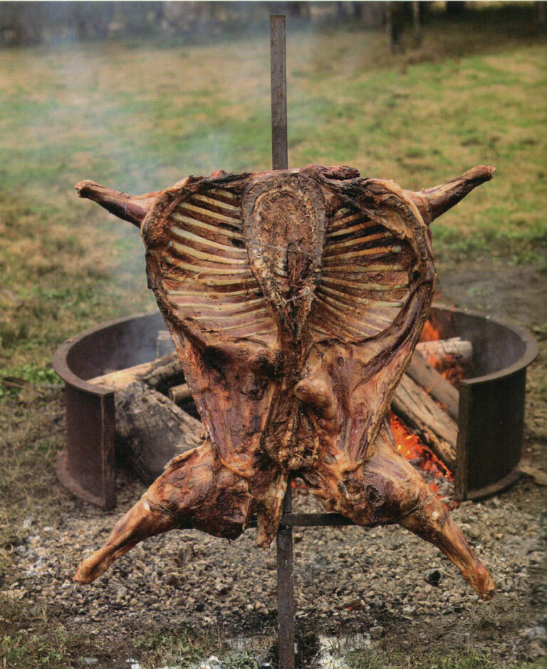 PROVEEDORES DE CARNE AL POR MAYOR
