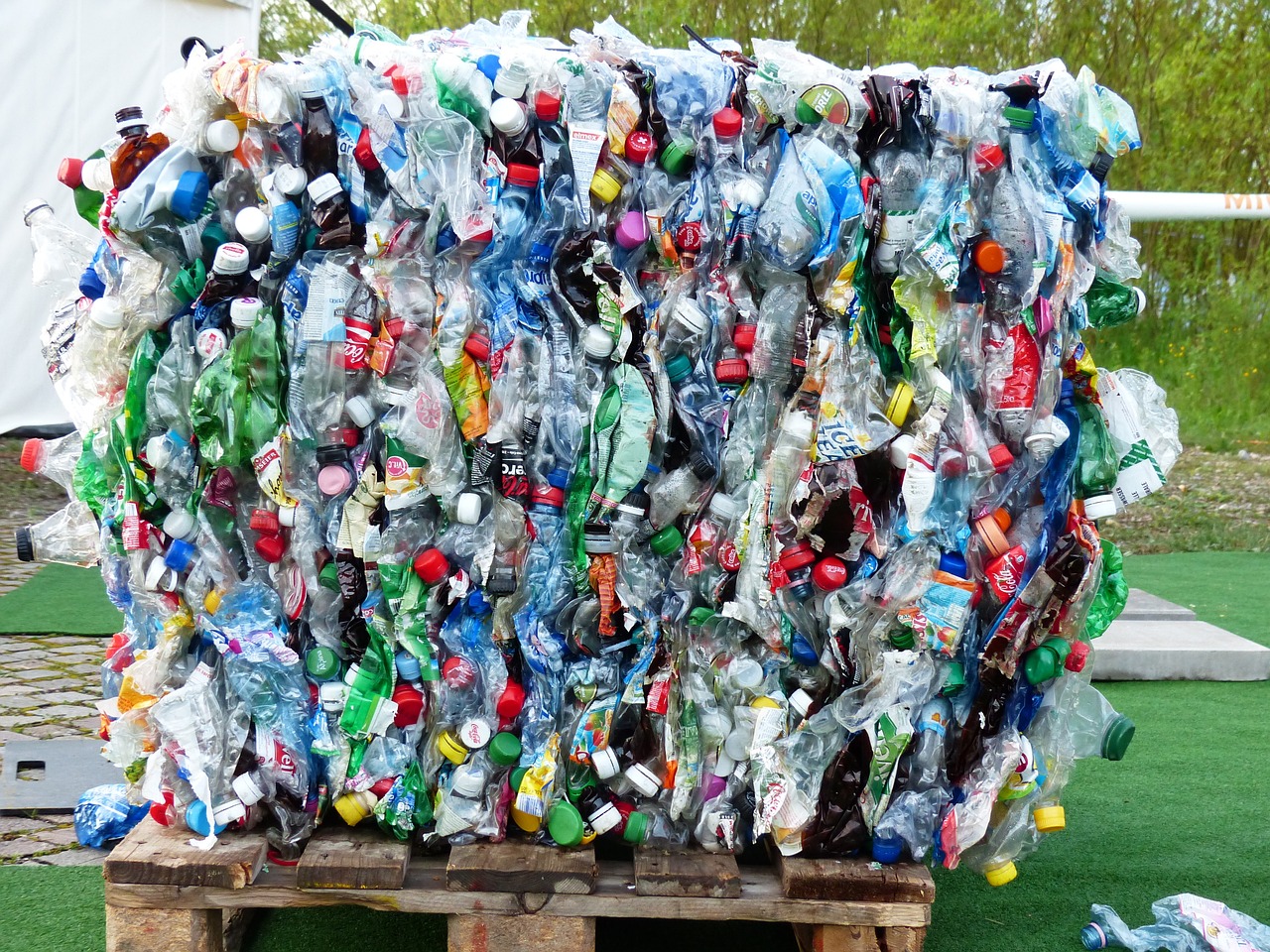 PROVEEDORES DE TARIMAS DE PLASTICO EN MONTERREY